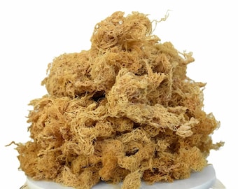 Wholesale Gold Sea Moss ,5lb Gold Raw Sea Moss Bulk, Sun dried Gold Seamoss, Wildcrafted Seamoss, St. Lucia Gold Sea Moss Organic