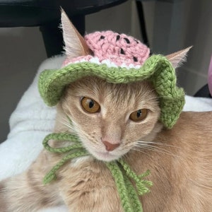 Watermelon Pet Hat | Dog Hat | Cat Hat | Pet Costume | Fruit Bucket Hat