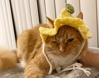 Lemon Pet Hat | Dog Hat | Cat Hat | Pet Costume | Fruit Bucket Hat