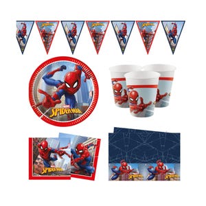 Spiderman Party Supplies Bundles Superhero Birthday Party  Tableware Plates, Napkins, Cups, Decorations, Banner, Balloons