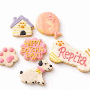 Gotcha day dog treats | Dog treats | healthy dog treats | natural dog treats | Homemade dog treats | happy gotcha day Gotcha Day Girl