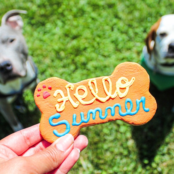 Summer dog treats | Get well soon dog treats | natural dog treats | healthy dog treats | homemade dog treats | sick dog | organic dog treats