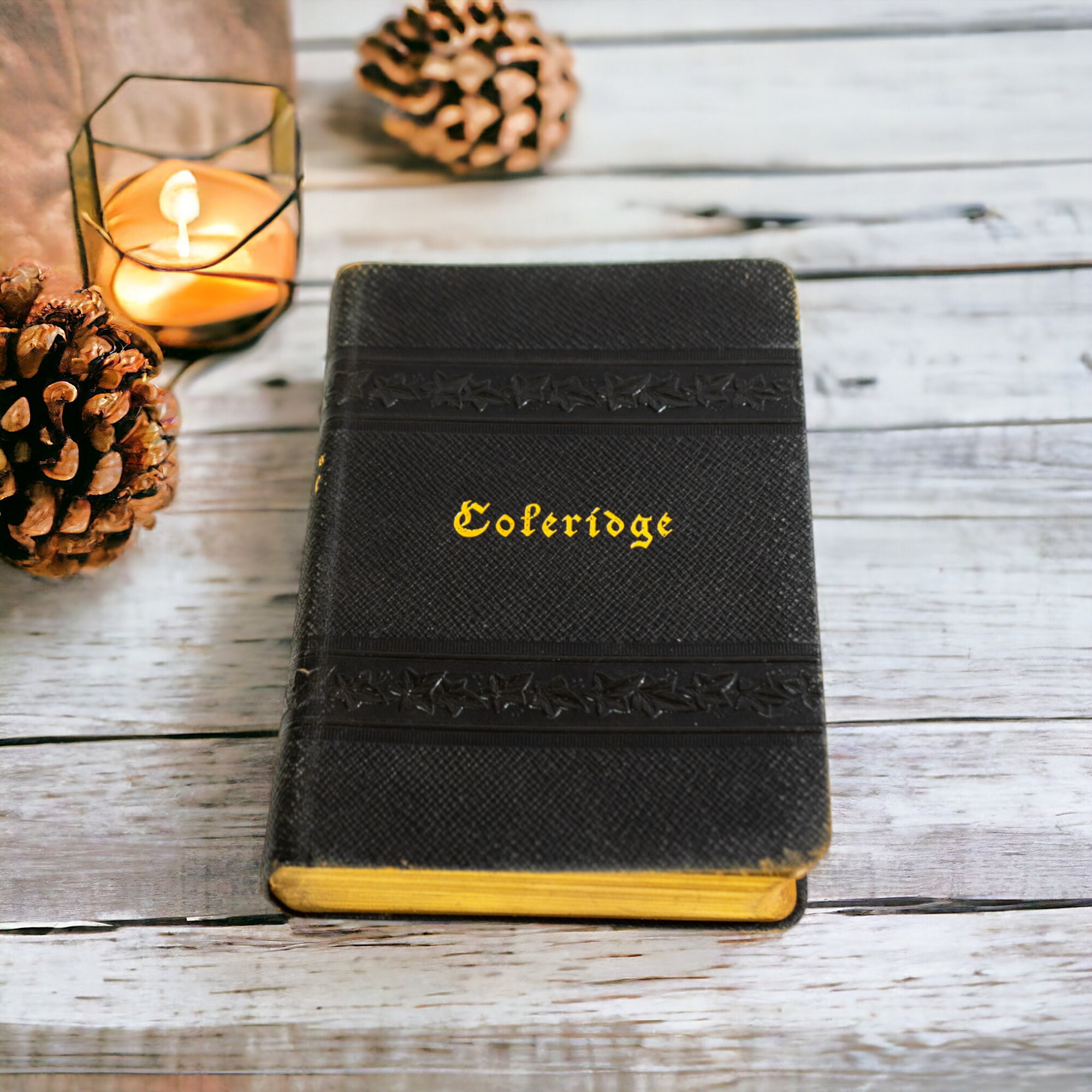 THE POETICAL WORKS OF S.T.COLERIDGE 3冊組｜洋書