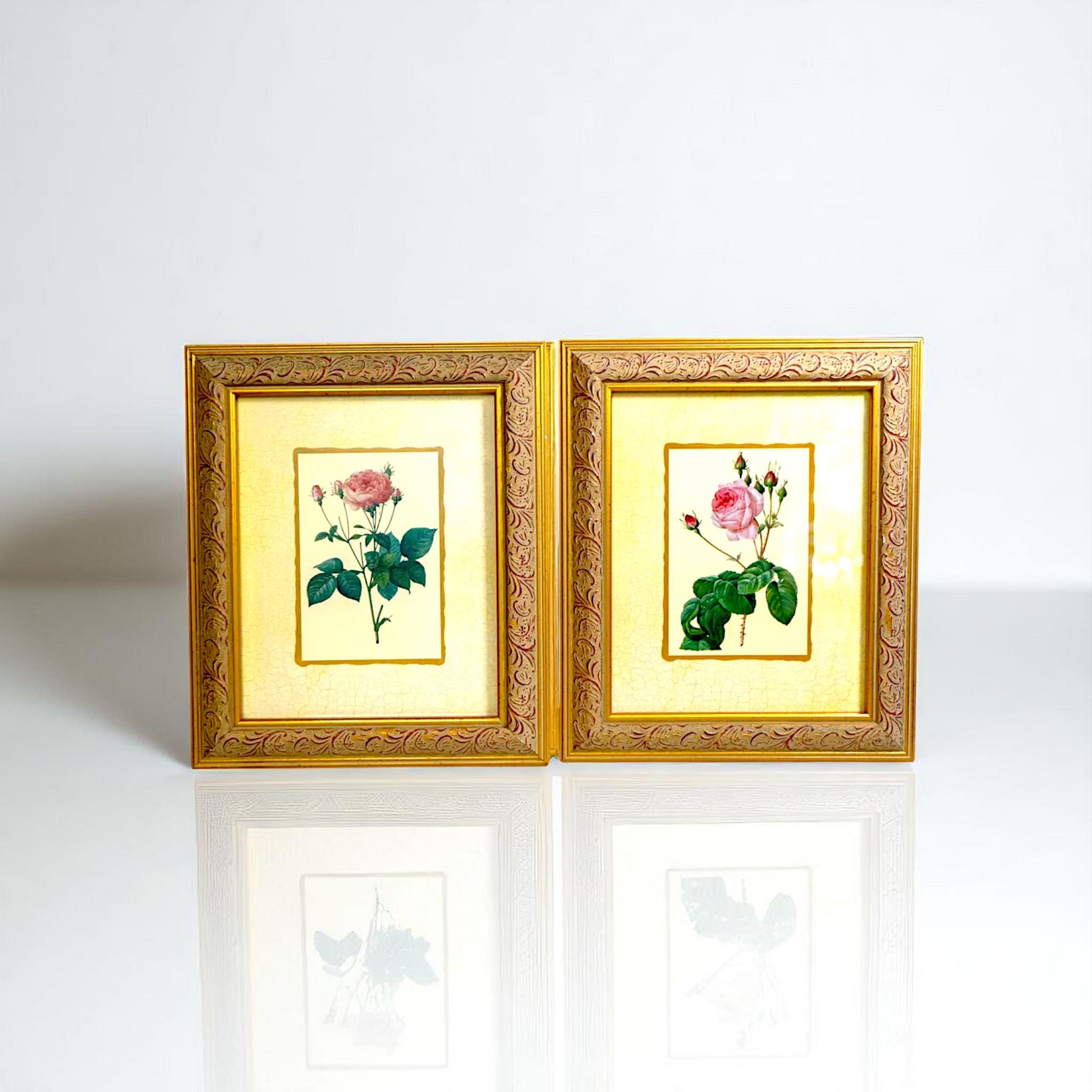 Pair of Vintage Botanical Rose Prints in Ornate Gold Frames – 12.5 x 10.5 Inches
