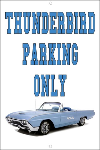 Targa In Latta Vintage "Saraheve Thunderbird Parking Only" - 20x30 Cm, Alluminio Antimacchia Per Garage O Officina