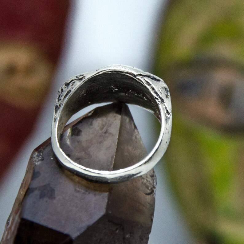 Alexander the Great Ring in Sterling Silver and Bronze, Handmade Unisex