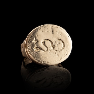 Handmade Serpent Seal Ring, Bronze & Silver, Snake Wax Stamp Signet Jewelry