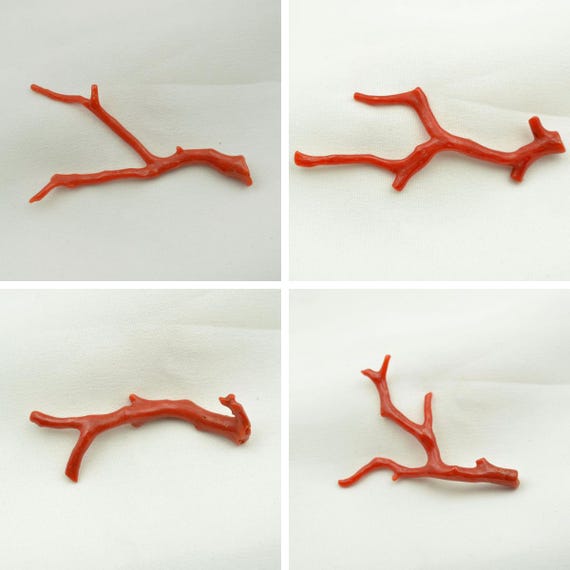Corail Rouge Naturel Italien Non Traité Certifié AGL 23x6 Mm AAA+ - Neuf Sans Emballage