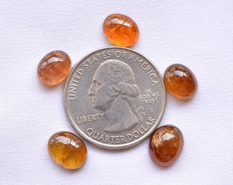 Yellow Orange Tourmaline Oval Shape Cabochons, 7x9mm - 8x10mm, Loose Gemstone, Tourmaline Cabochon, Gemstone For Jewelry, 5 Pieces