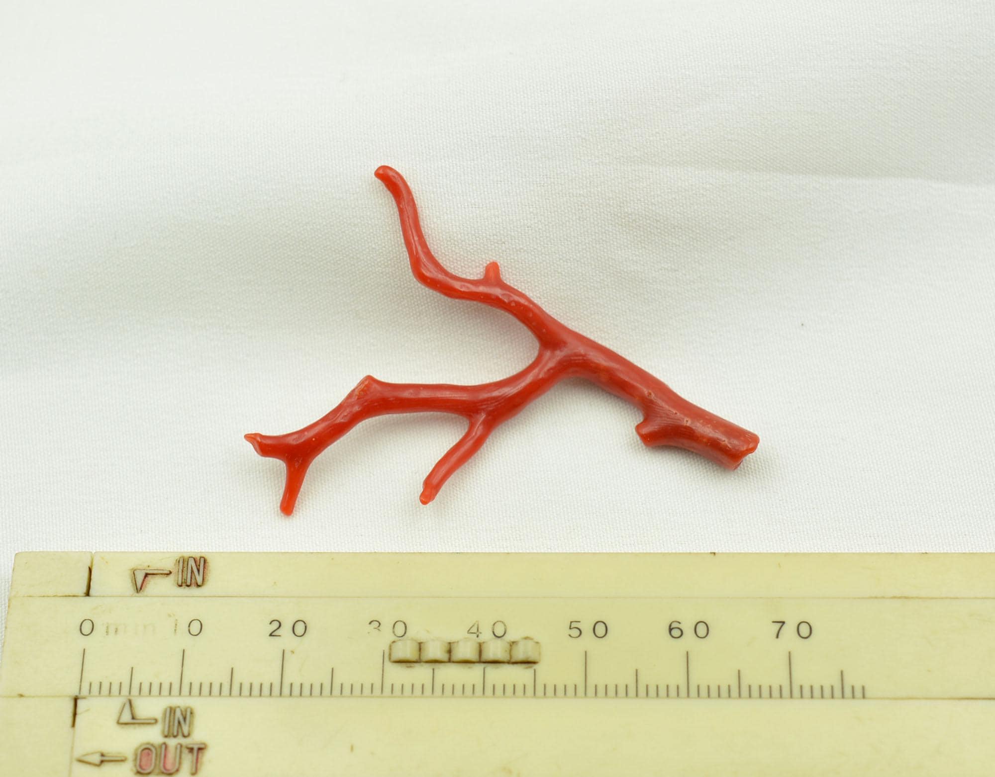 Corail Rouge Naturel Italien AAA+ Non Traité - Certifié AGL 23 X 6 Mm - Pierre Précieuse Brute
