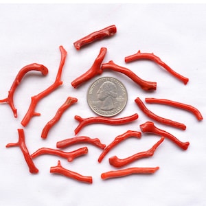 Wholesale Lot, 77 Carat, Red Coral Gemstone, Italian Red Coral Raw Stick, Rough Coral Stick, 26mm To 53mm, Polished Coral Stick, 18 Pieces