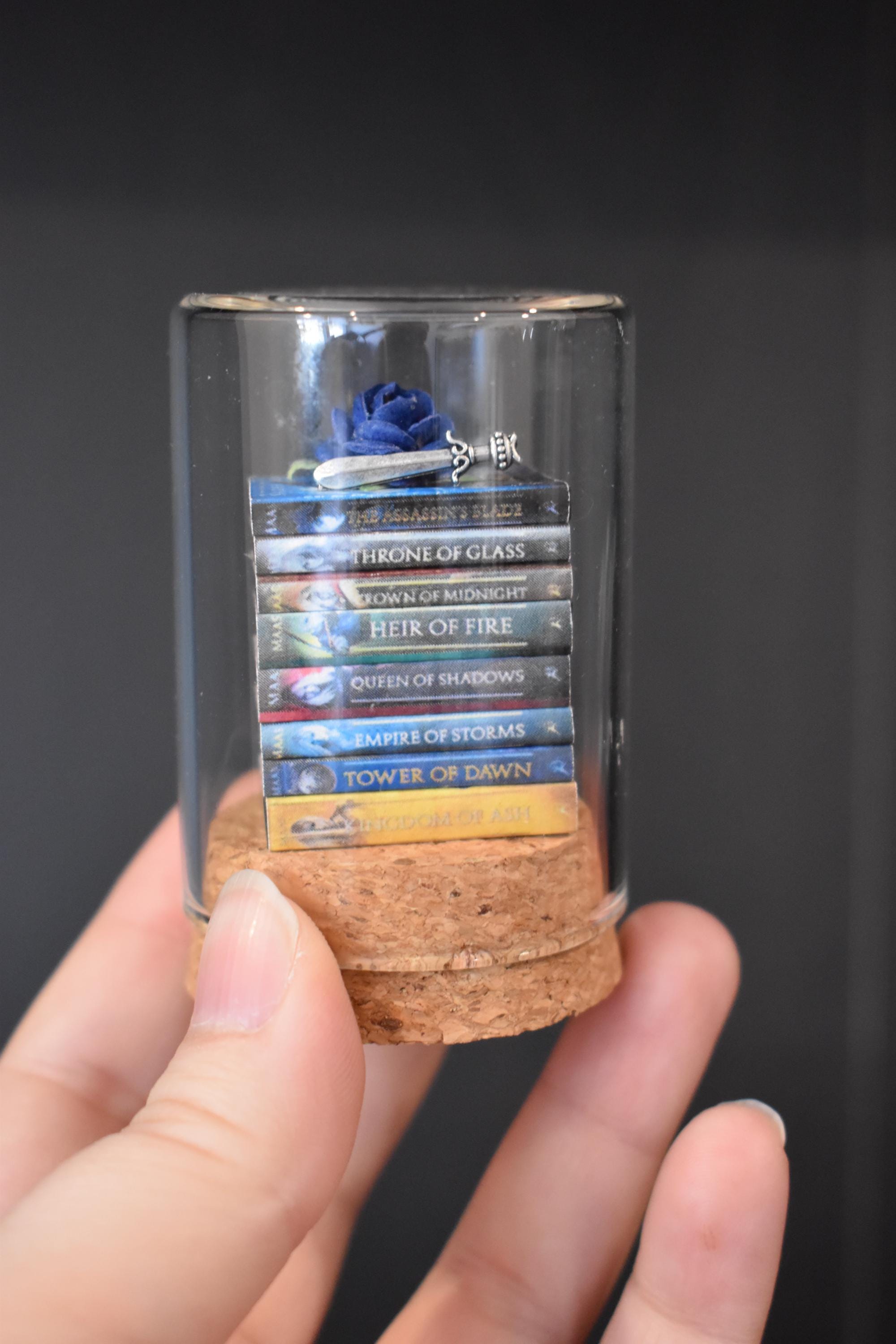 Throne of Glass Series Book Stack Jar — Perfect Shelf Decor, Bookish Gift for Fans of the Bestselling Sarah J. Maas Series