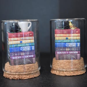 Op de afbeelding: Twee glazen potten met elk een stapel miniatuurboeken. Eén pot heeft een kleine witte kop erop, de andere een kleine gouden vogel. De boeken zijn in verschillende kleuren, waaronder rood, geel, blauw en paars. De potten staan op kurken voetjes.