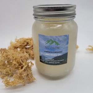 Pode incluir: Um frasco de vidro transparente com tampa prateada cheio de um gel amarelo claro. O frasco tem um rótulo branco com o texto "HILLSIDE JAMAICA ORGANIC SEA MOSS GEL" e "INGREDIENTS: JAMAICA ORGANIC SEA MOSS AND PURIFIED WATER". O frasco está sobre uma superfície branca ao lado de um monte de musgo do mar seco.