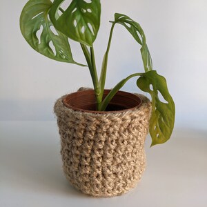 May include: A green Monstera plant in a brown terracotta pot with a beige crocheted plant pot cover.