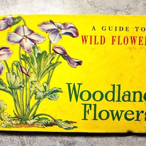 Woodland Flowers small identification guide by Whitman Publishing 1945