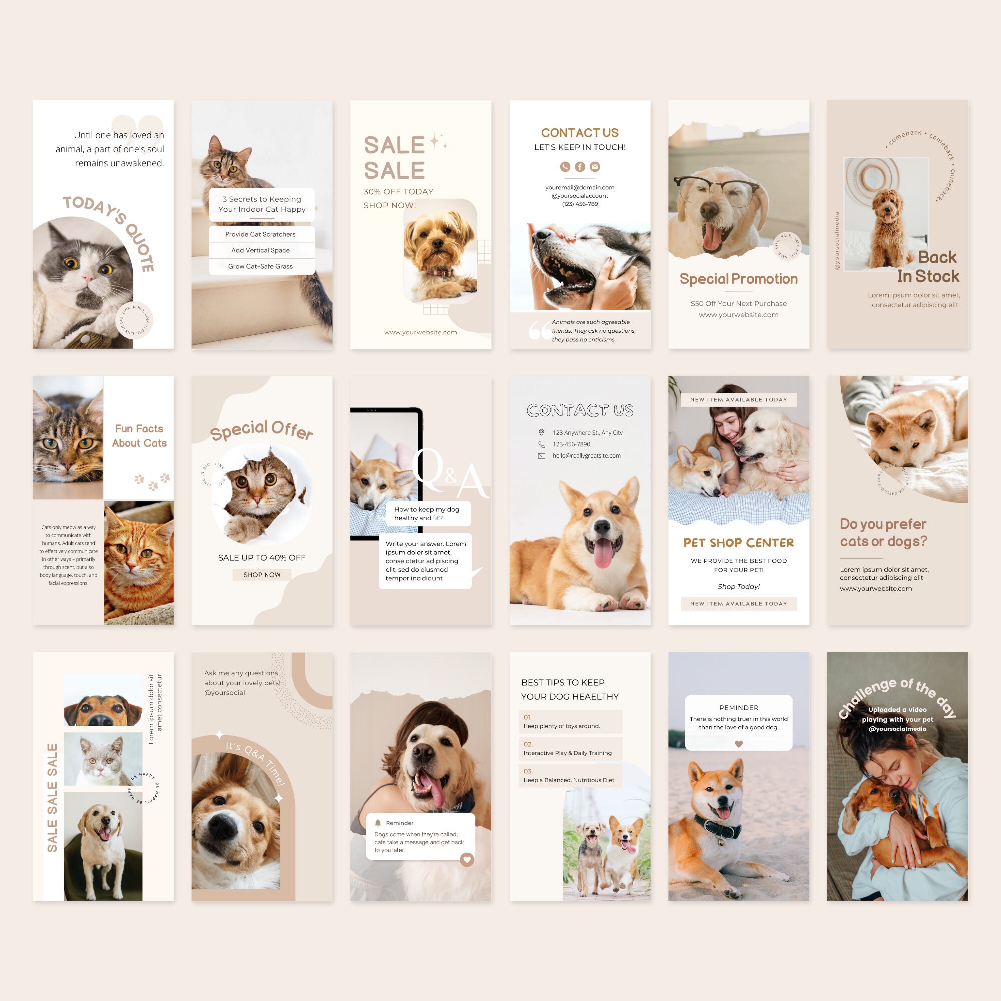 Pet Empire - Pet Shop PSD Template #189848 - TemplateMonster