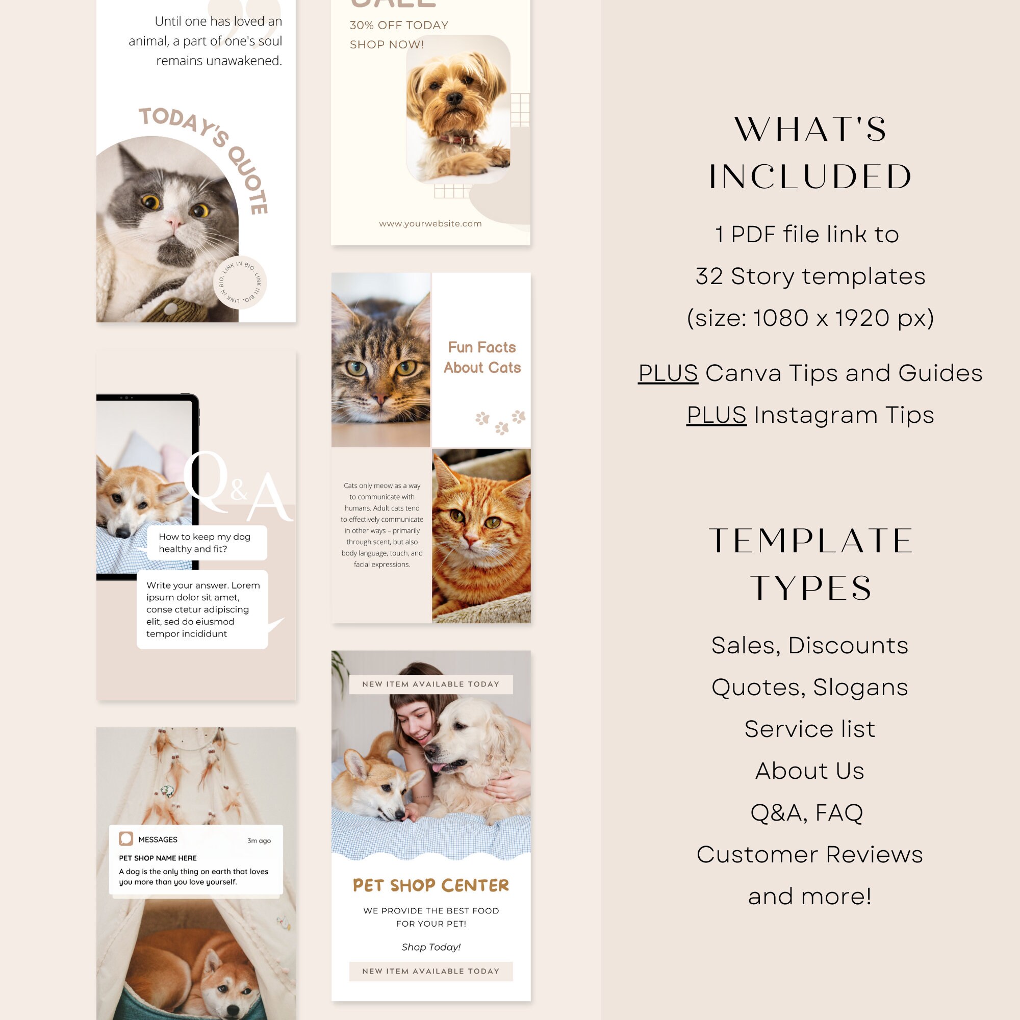 Pet Empire - Pet Shop PSD Template #189848 - TemplateMonster