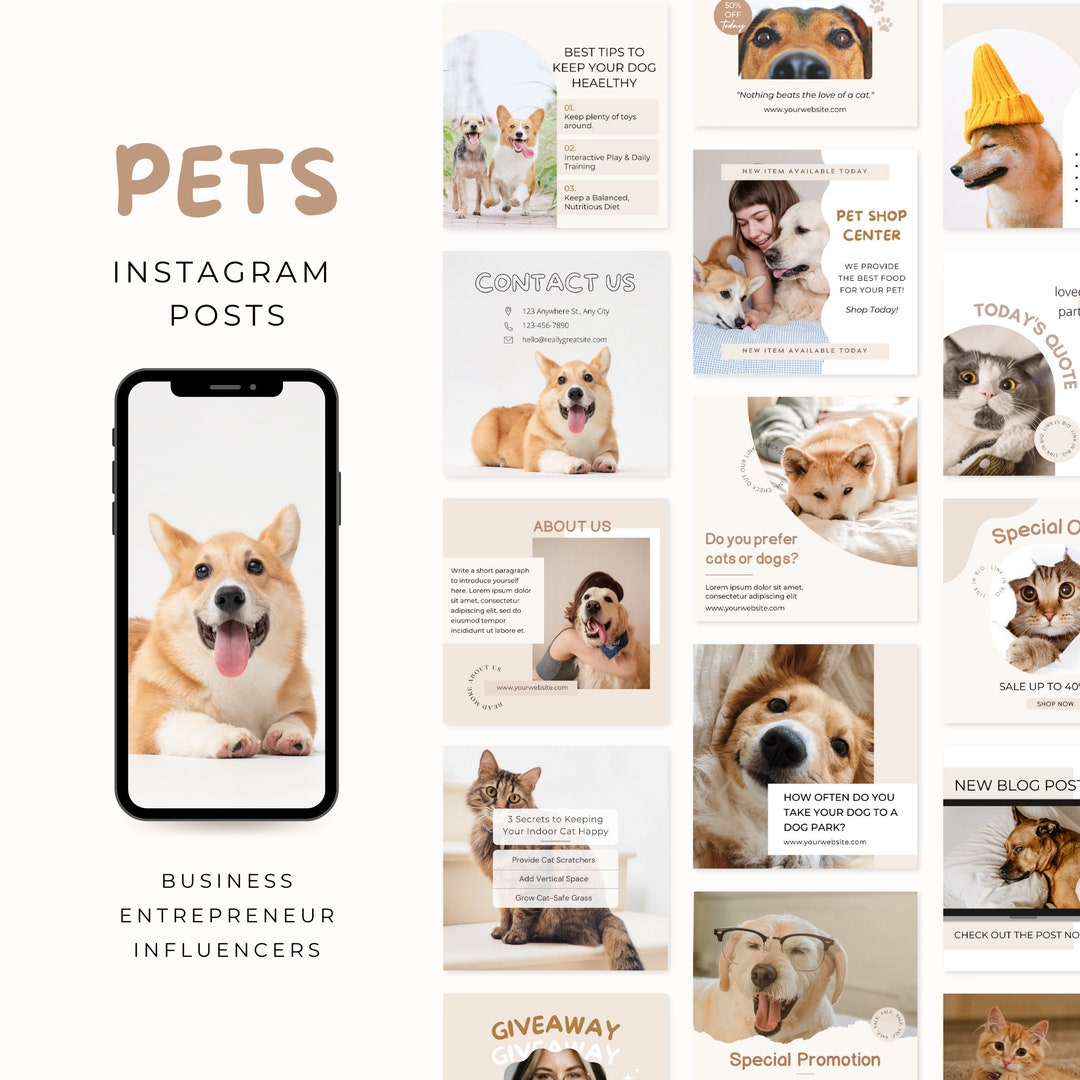 Pets Instagram Post Template Pet Shop Grooming Business Engagement