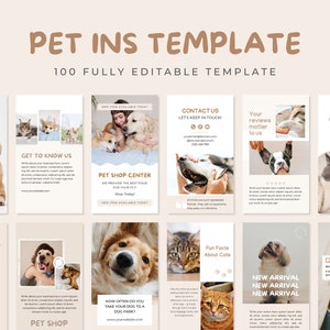 Pets Instagram Template | Pet Shop Grooming Business | Social Media Template | Dog Cat Pet Lover Vet Template | Instagram Post and Story