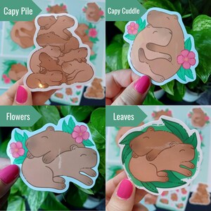 4 Stack Capybara Capybara Cuddles Sticker Bundle - Glossy Vinyls and Sticker Sheet - Etsy
