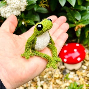 May include: A knitted green frog with a white belly and large black eyes. The frog is held in a hand, with a red mushroom ornament visible. A charming, handcrafted item.