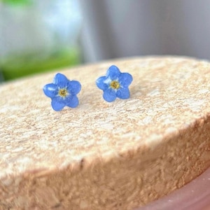 May include: A pair of small, blue flower stud earrings. The flowers are delicate and have a yellow centre.