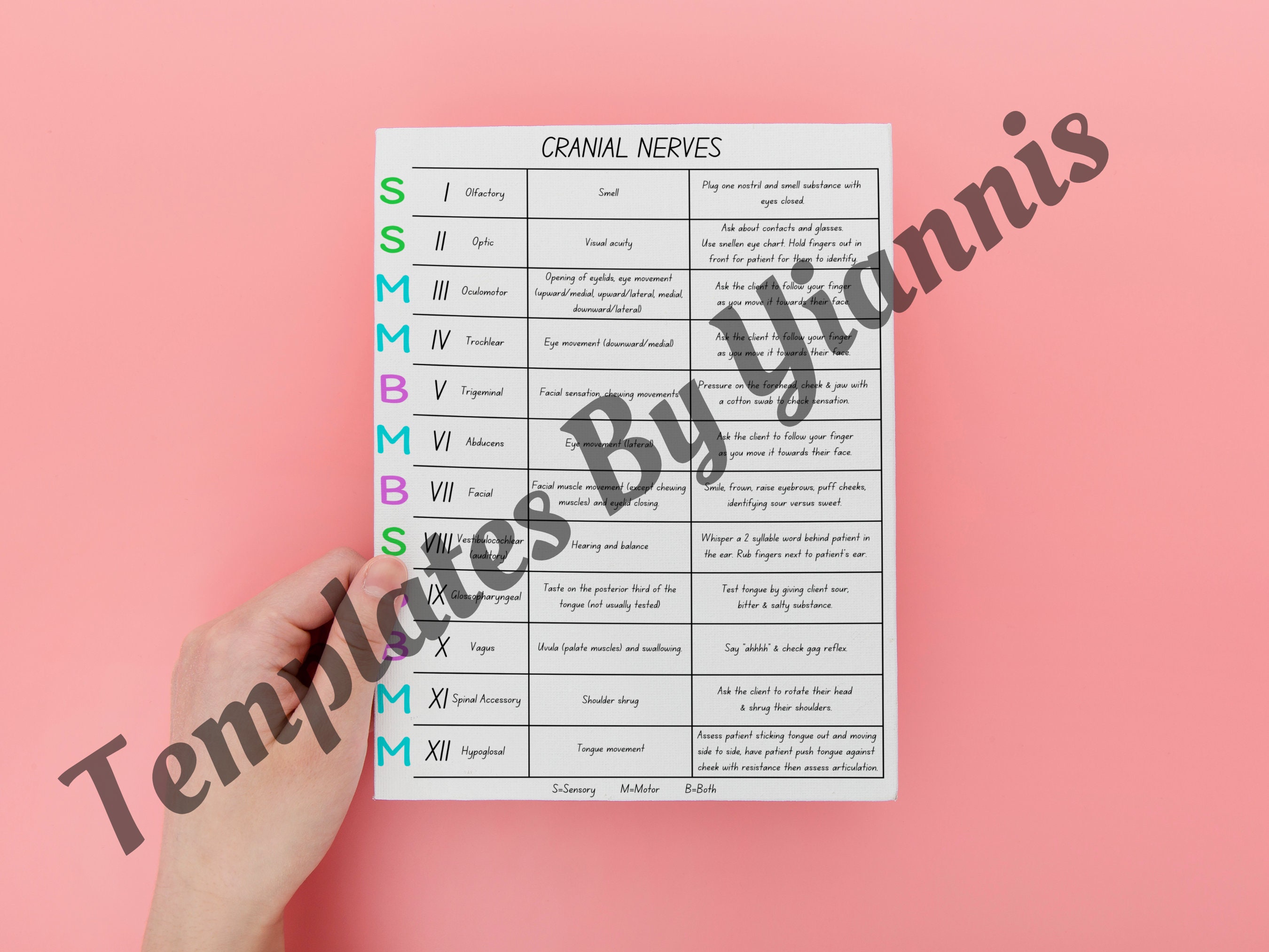 Cranial Nerves Cheat Sheet Anatomy Physiology Health Assessment Nursing ...