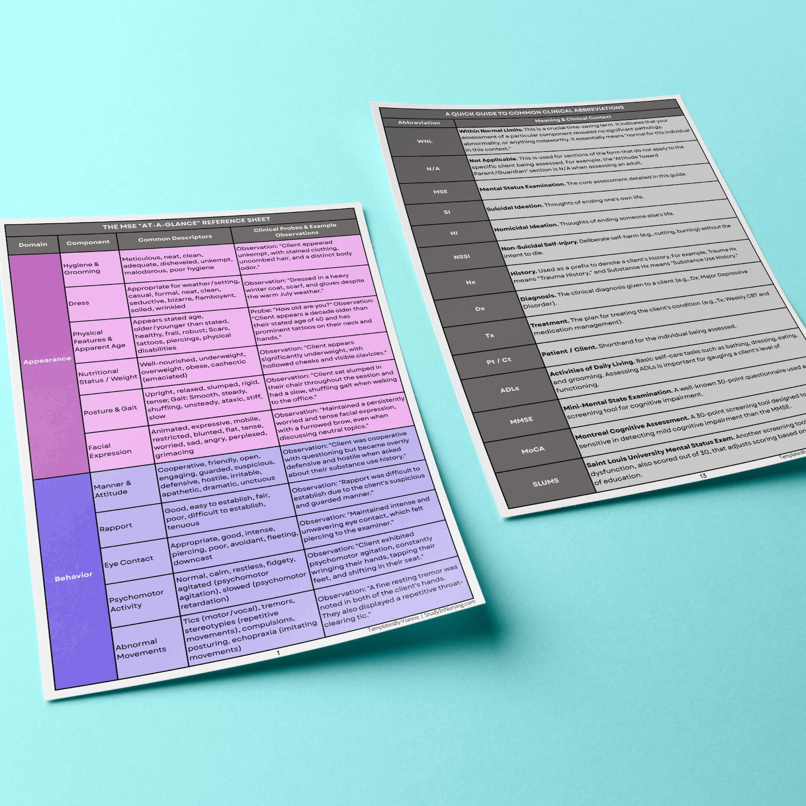Mse Types Example Mental Status Exam Reference Guide: MSE Cheat Sheet and Templates With ...
