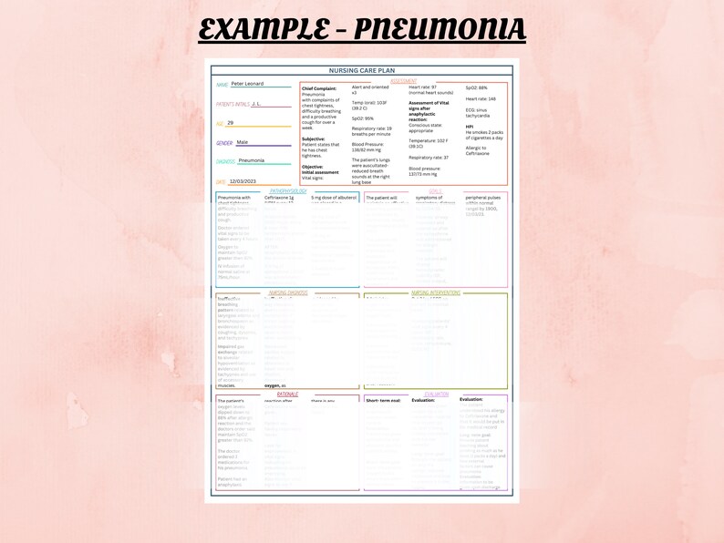 Printable Nursing Care Plan Template &amp; Example | Nursing Care Plan Example | Patient Care Plan ...