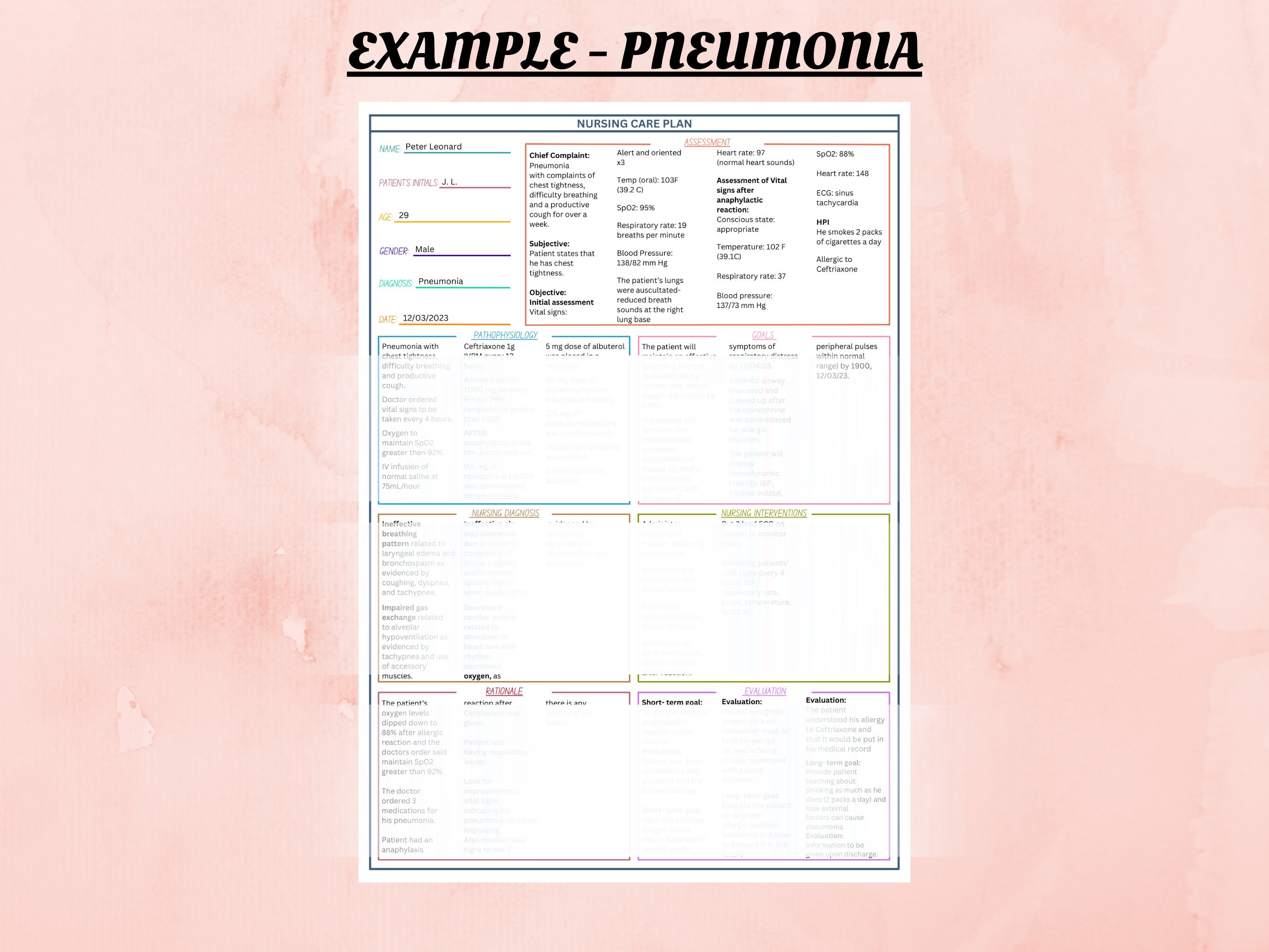 Printable Nursing Care Plan Template &amp; Example | Nursing Care Plan Example | Patient Care Plan ...