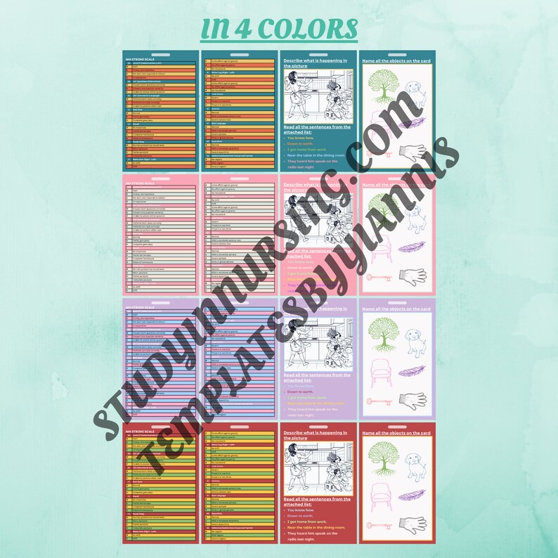NIH Stroke Scale Reference Badge Cards Bundle Stroke Assessment Tool