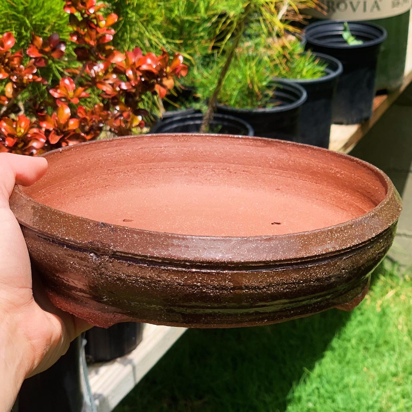 Terra Cotta Bonsai Pot Etsy