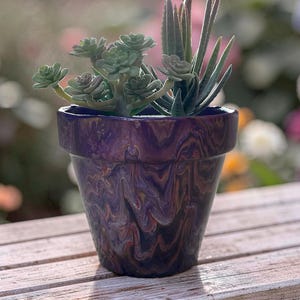 Peut inclure: Un pot de fleurs en céramique marbrée violet et marron rempli de succulentes vertes. Le pot est posé sur une surface en bois, avec un arrière-plan flou de fleurs.