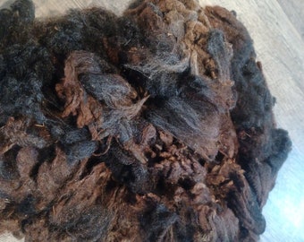 Romeldale wool natural chocolate brown