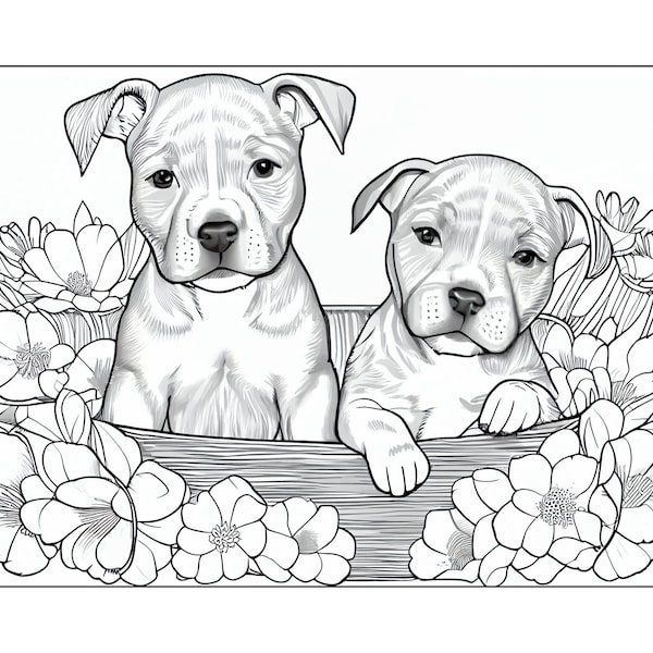 Aww Aern't They Cute. Pitbull Puppies Coloring Page Horizontal Picture 11" x 8.5"