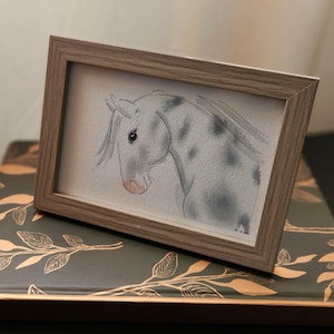 Appaloosa Pony