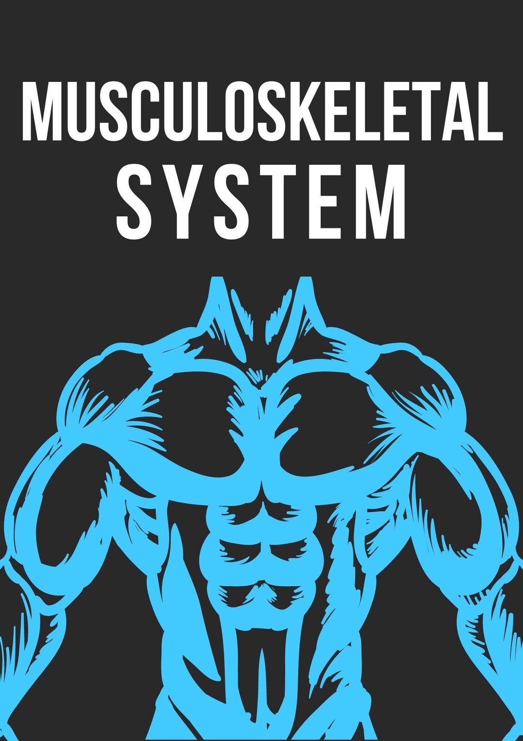 Nursing Musculoskeletal Cheat Sheet Etsy