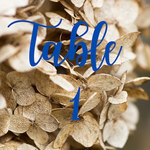 Table Number Card (1-20)