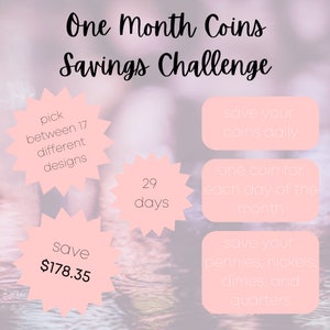 One Month Coins Saving Challenge - Save Your Pennies, Nickels, Dimes, and Quarters - 17 Different Designs in One Package - 29 Days To Save