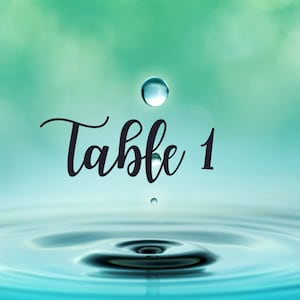 Water Table Number Cards