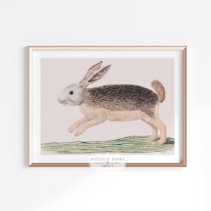 Cute Jumping Hare Illustration | Hare Wall Art Nursery Decor | Neutral Home Decor Hare Art Print | Instant DIGITAL DOWNLOAD | P789