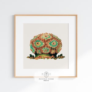 May include: A vintage botanical illustration of a green and orange sea anemone with a white background. The image is framed in a light wood frame. The text "PICCOLO FIORE PRINTS" is at the bottom of the image.