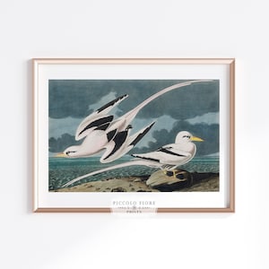 Vintage Seagull Coastal Seascape Blue/White Watercolour Painting Illustration Art Print | 1800s | Instant DIGITAL DOWNLOAD | P12