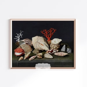Vintage Shell and Coral Still Life Natural History Oil Painting Art Print | 1600s | Instant DIGITAL DOWNLOAD | P429
