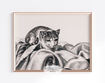 Vintage Cat Sketch | Cat Pencil Drawing | Cat Sitting in a Basket Art Print | Cat Lover Gift | Vintage Wall Art | DIGITAL DOWNLOAD | P214