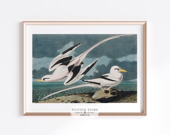 Ilustración de acuarela azul/blanca de un paisaje costero de gaviota vintage, impresión artística / Década de 1800 / DESCARGA DIGITAL INSTANTÁNEA / P12