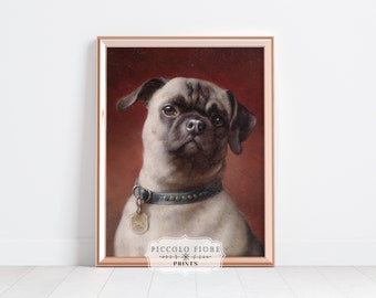 Retrato de perro carlino vintage, pintura al óleo, impresión artística / década de 1900 / descarga digital instantánea / P437