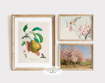 Pink Blossom, Bird and Pears Gallery Wall Set | 3 Art Prints | Vintage Eclectic Paintings | Pink Floral Wall Art | DIGITAL DOWNLOAD | M8-2.7