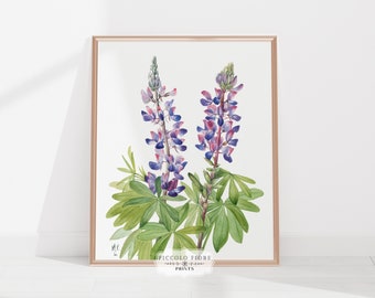 Vintage Purple/Pink Lupine Floral/Botanical Watercolour Illustration Art Print | 1900s | Instant DIGITAL DOWNLOAD | P43